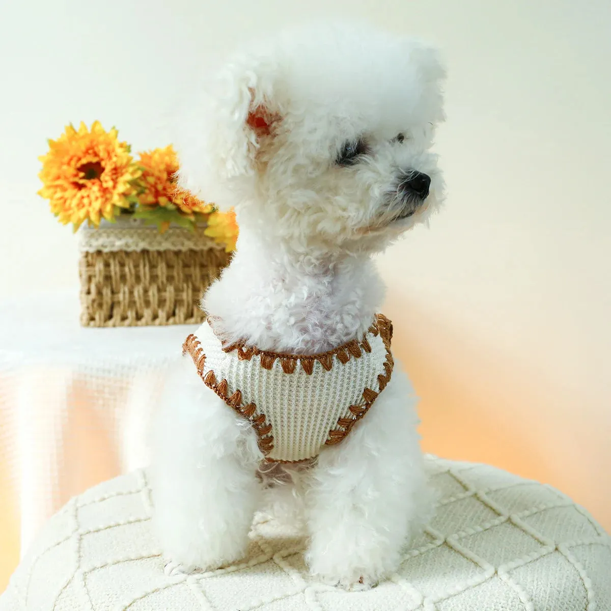 Sweet Dreams Collection: Spring/Autumn Stretch Waffle Ice Cream Cub Bear Knit Pullover - Adorable Pet Tank Top for Small to Medium Dogs and Cats