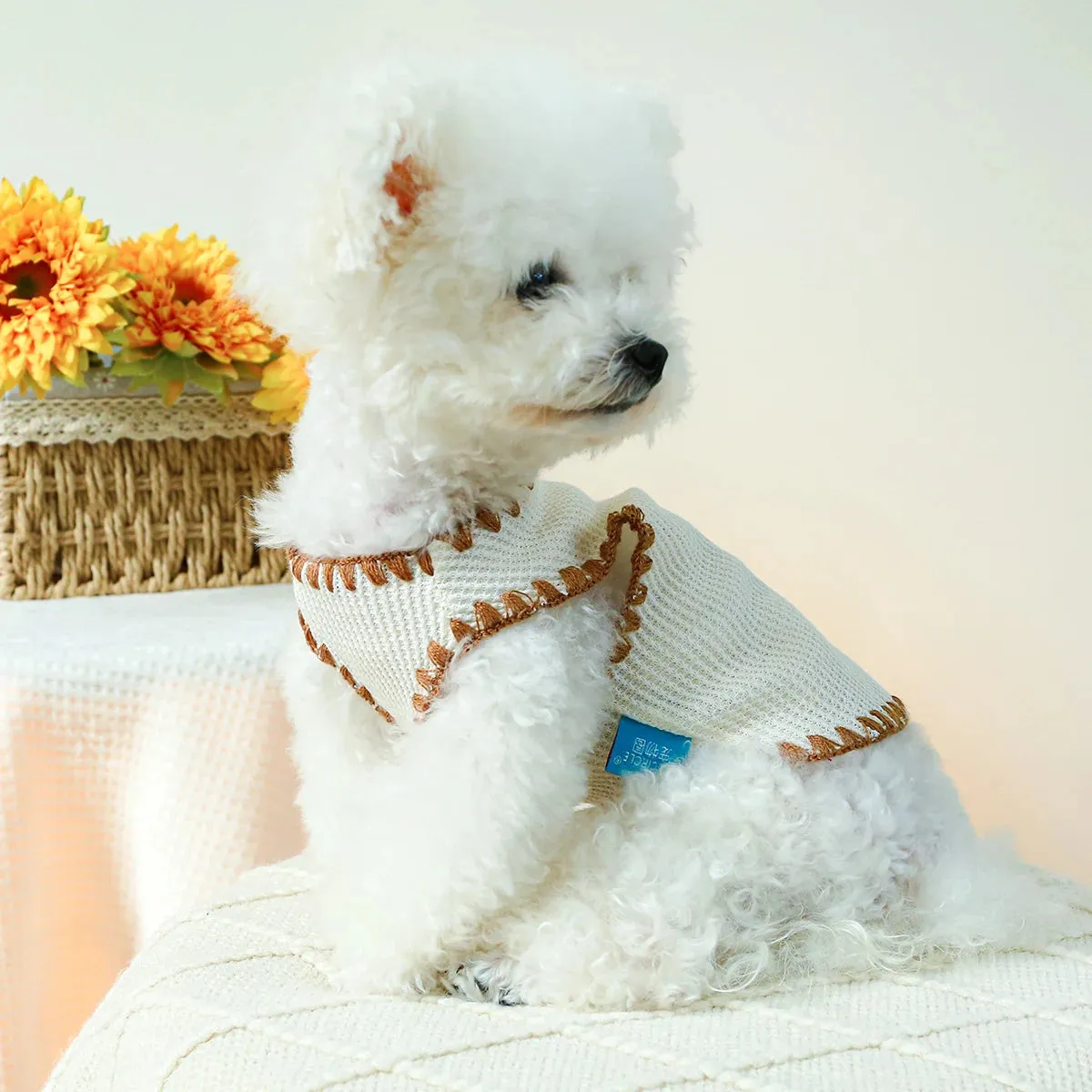 Sweet Dreams Collection: Spring/Autumn Stretch Waffle Ice Cream Cub Bear Knit Pullover - Adorable Pet Tank Top for Small to Medium Dogs and Cats