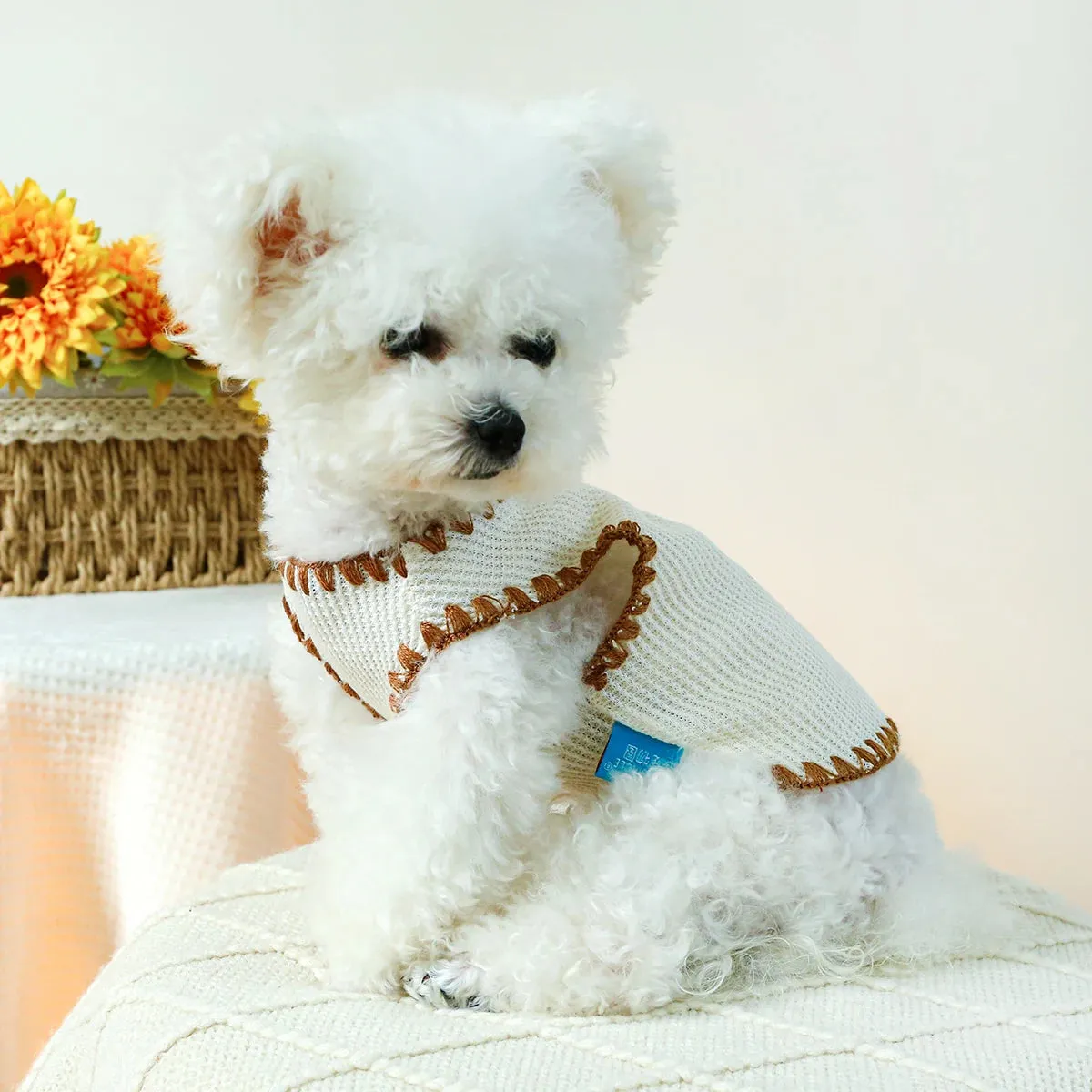 Sweet Dreams Collection: Spring/Autumn Stretch Waffle Ice Cream Cub Bear Knit Pullover - Adorable Pet Tank Top for Small to Medium Dogs and Cats